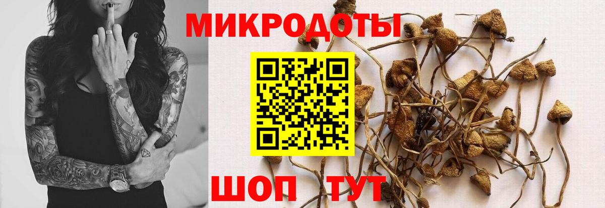 Саки  Галлюциногенные грибы мухоморы  Вход с VPN  Псилоцибиновые грибы MAGIC MUSHROOMS 