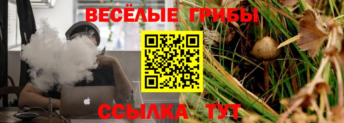 Галлюциногенные грибы Magic Shrooms Саки